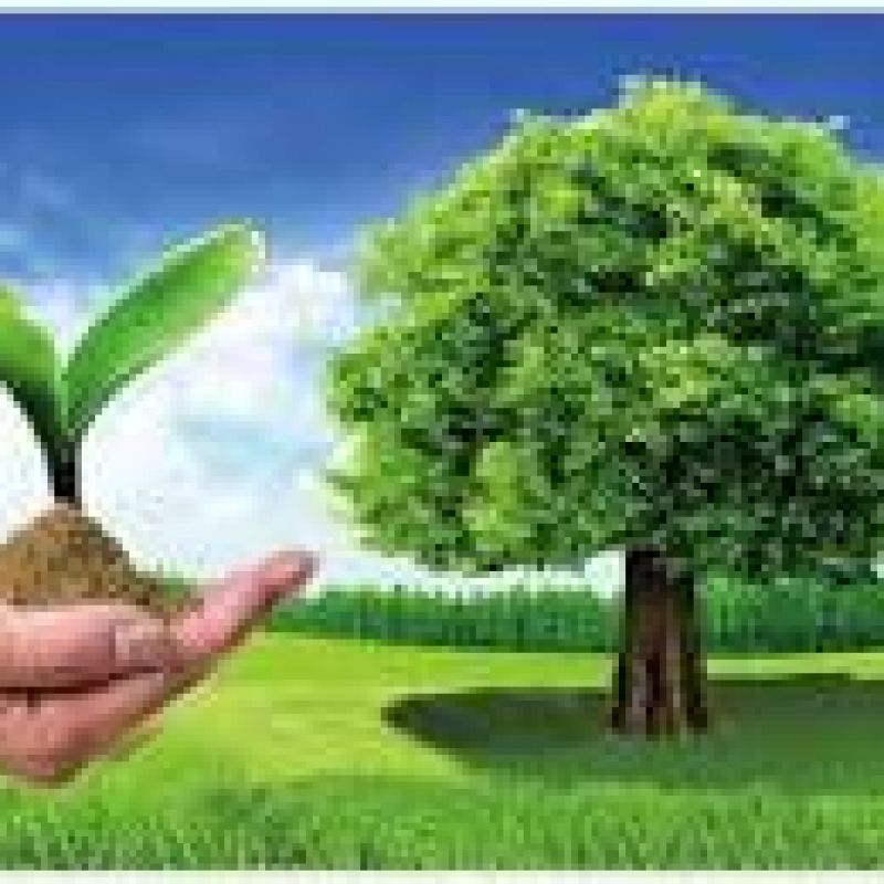  Flexibility and mitigation of the effects of climate change project in the Arab Republic of Egypt, 