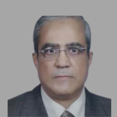 Advisor. Mustafa Ezz El-Din 