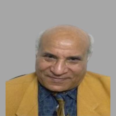 Mr.Romany Gad Al Rab