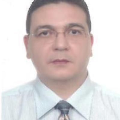 Advisor: Hani Mohamed Hassan