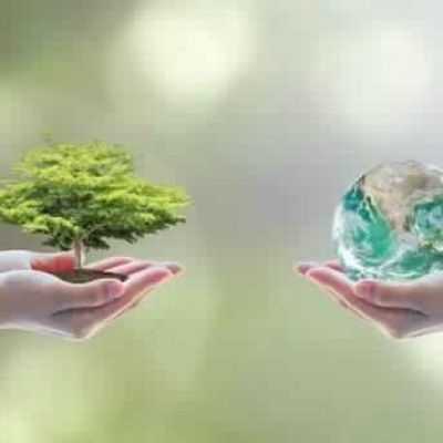 Sustainable development sector