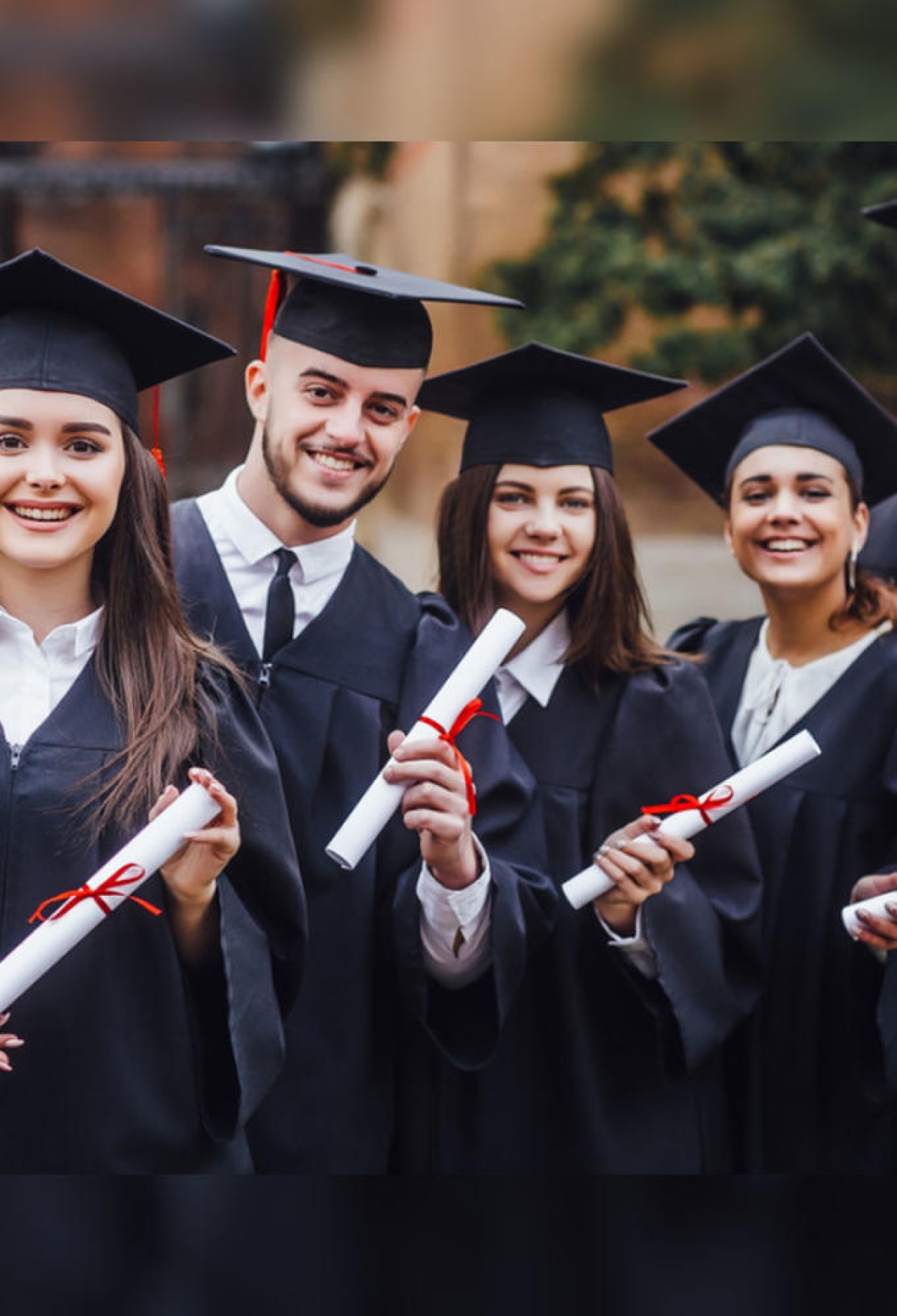 Professional Certification Sector