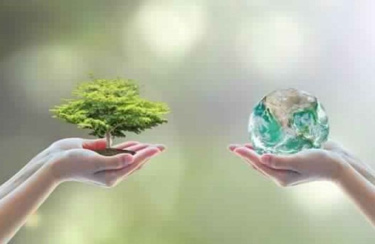 Sustainable development sector